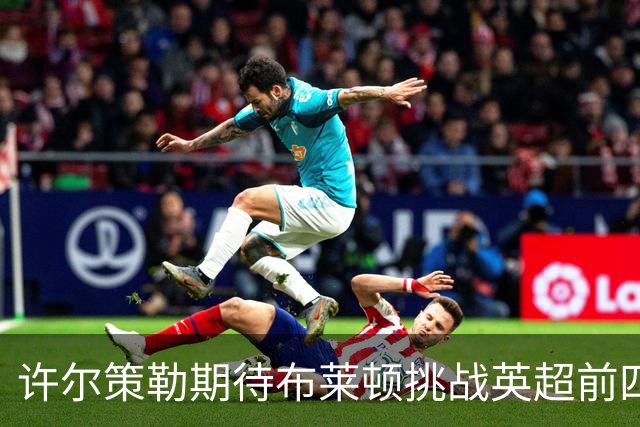 许尔策勒期待布莱顿挑战英超前四，称需稳定高水平表现